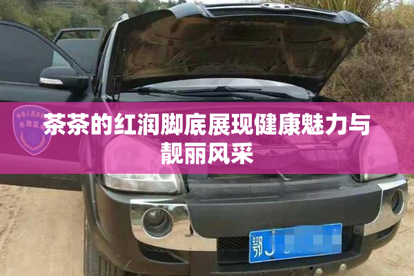 茶茶的红润脚底展现健康魅力与靓丽风采