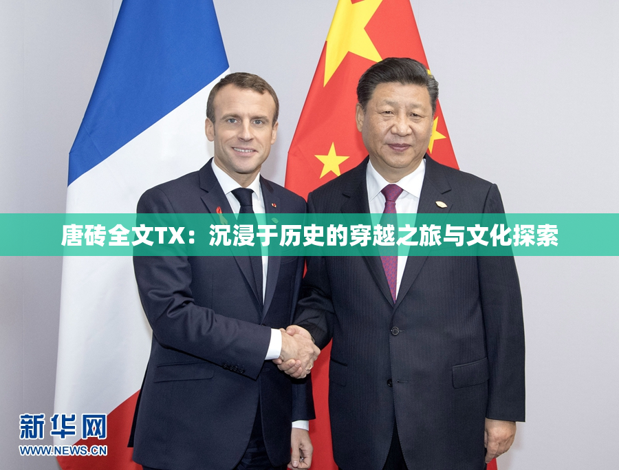 唐砖全文TX：沉浸于历史的穿越之旅与文化探索