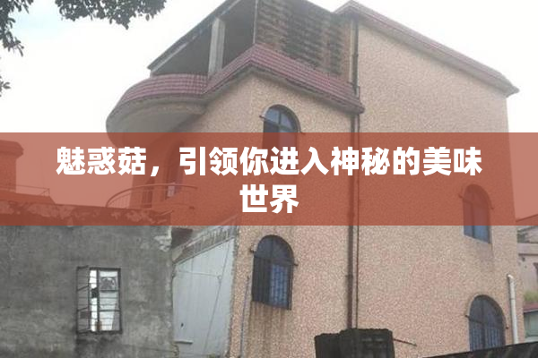 魅惑菇，引领你进入神秘的美味世界