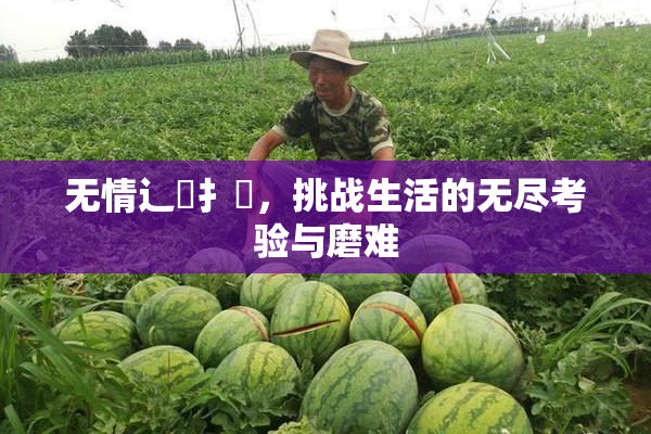 无情辶喿扌畐，挑战生活的无尽考验与磨难
