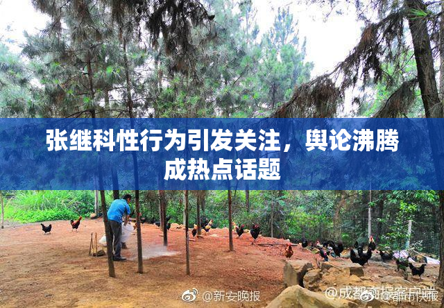 张继科性行为引发关注，舆论沸腾成热点话题