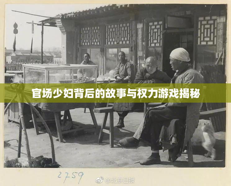 官场少妇背后的故事与权力游戏揭秘