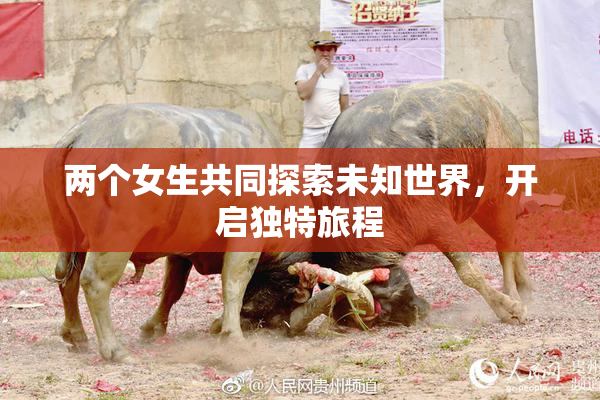 两个女生共同探索未知世界，开启独特旅程