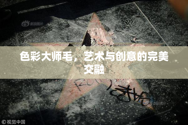 色彩大师毛，艺术与创意的完美交融