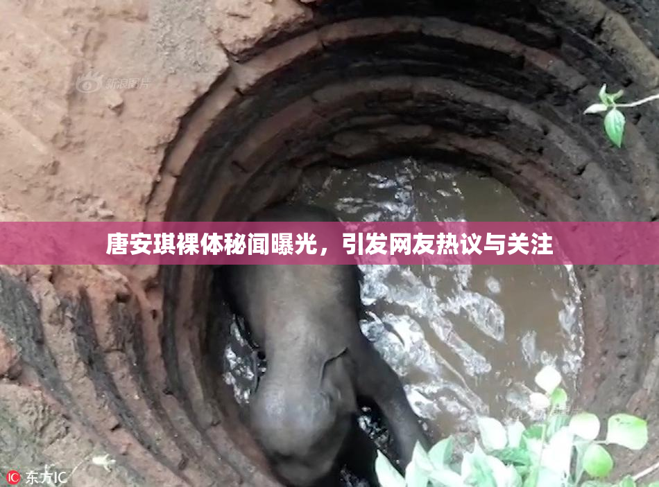 唐安琪裸体秘闻曝光，引发网友热议与关注