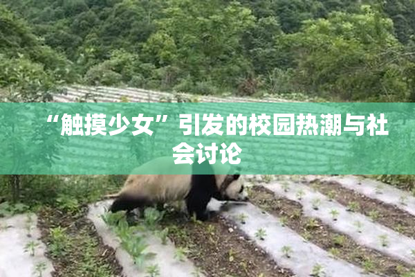 “触摸少女”引发的校园热潮与社会讨论