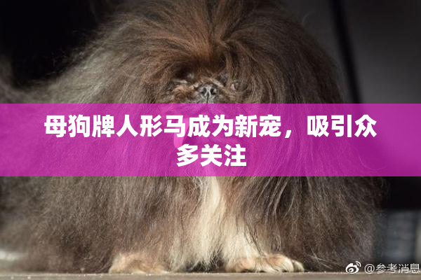 母狗牌人形马成为新宠，吸引众多关注