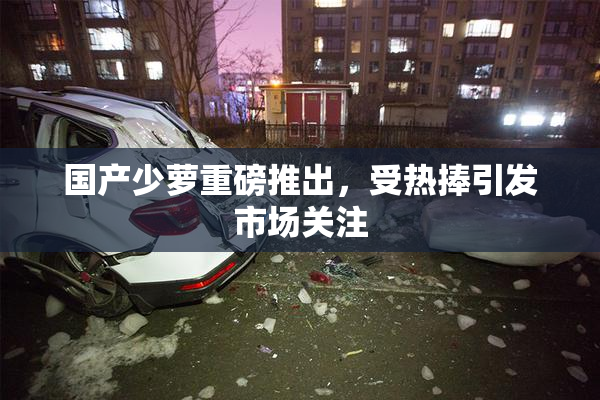 国产少萝重磅推出，受热捧引发市场关注