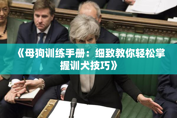 《母狗训练手册：细致教你轻松掌握训犬技巧》