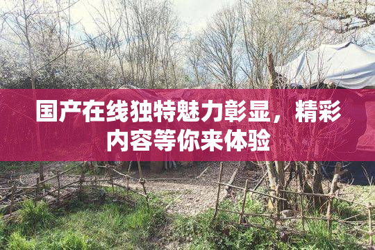 国产在线独特魅力彰显，精彩内容等你来体验