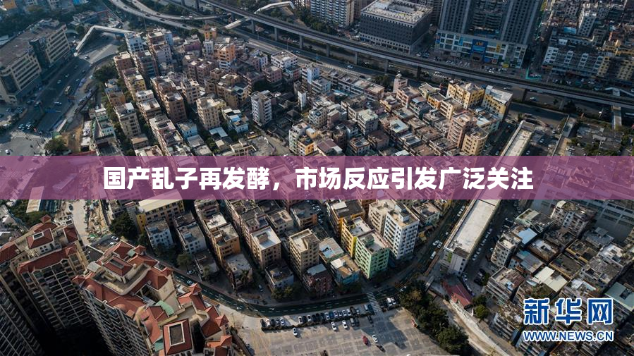 国产乱子再发酵，市场反应引发广泛关注