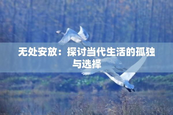 无处安放：探讨当代生活的孤独与选择