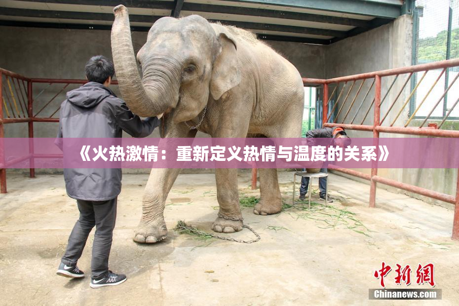 《火热激情：重新定义热情与温度的关系》