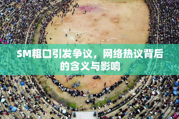 SM粗口引发争议，网络热议背后的含义与影响