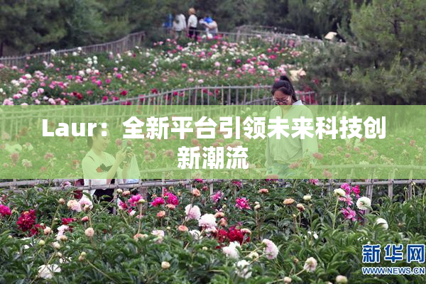 Laur：全新平台引领未来科技创新潮流