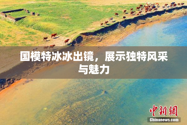 国模特冰冰出镜，展示独特风采与魅力
