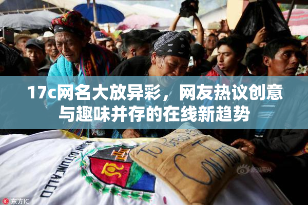 17c网名大放异彩，网友热议创意与趣味并存的在线新趋势