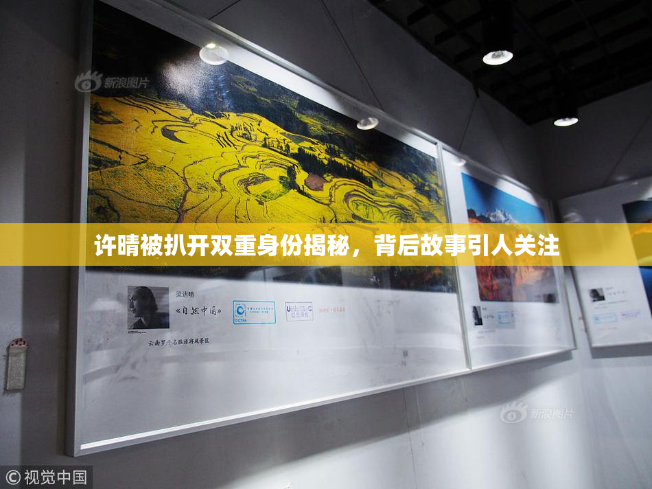 许晴被扒开双重身份揭秘，背后故事引人关注