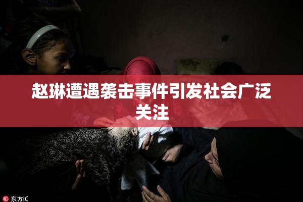 赵琳遭遇袭击事件引发社会广泛关注