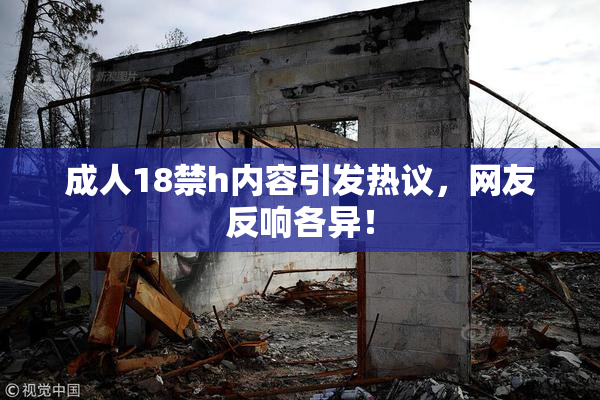 成人18禁h内容引发热议，网友反响各异！