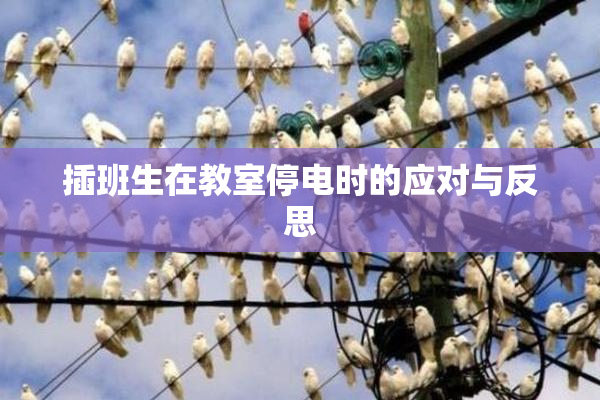 插班生在教室停电时的应对与反思