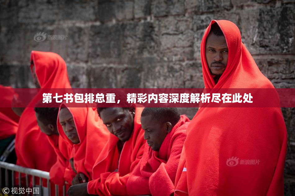 第七书包排总重，精彩内容深度解析尽在此处
