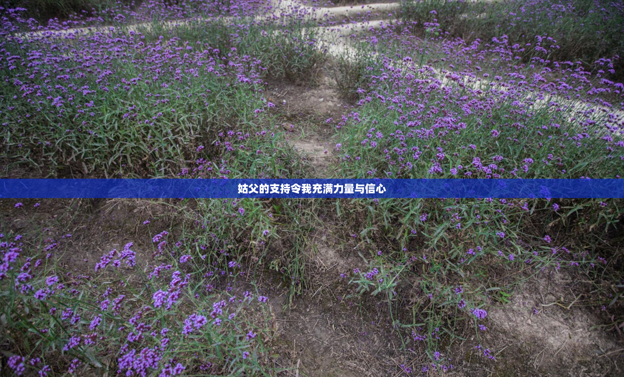 姑父的支持令我充满力量与信心