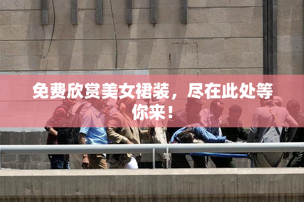免费欣赏美女裙装，尽在此处等你来！