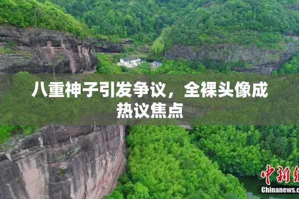 八重神子引发争议，全裸头像成热议焦点