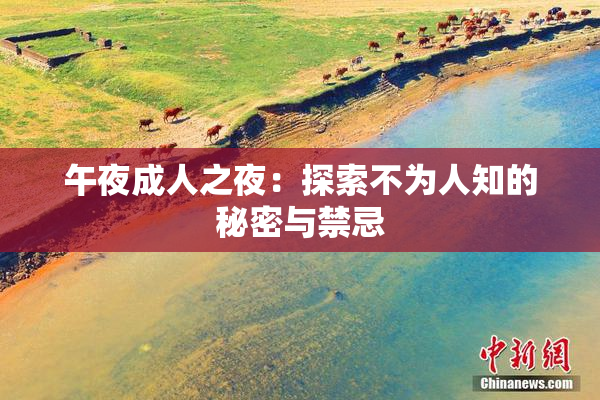 午夜成人之夜：探索不为人知的秘密与禁忌