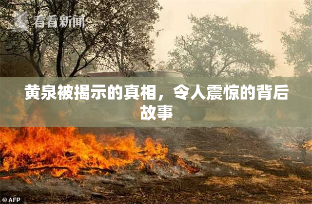 黄泉被揭示的真相，令人震惊的背后故事