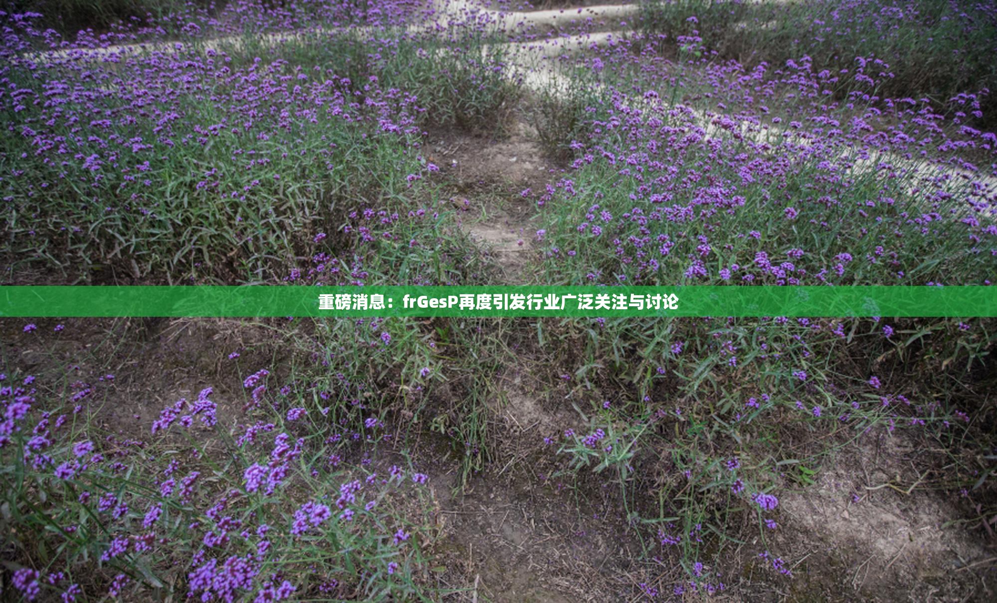 重磅消息：frGesP再度引发行业广泛关注与讨论