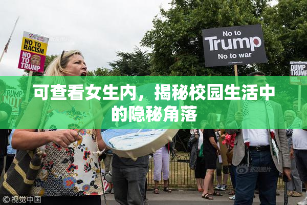 可查看女生内，揭秘校园生活中的隐秘角落