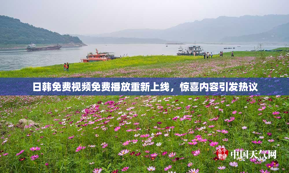 日韩免费视频免费播放重新上线，惊喜内容引发热议