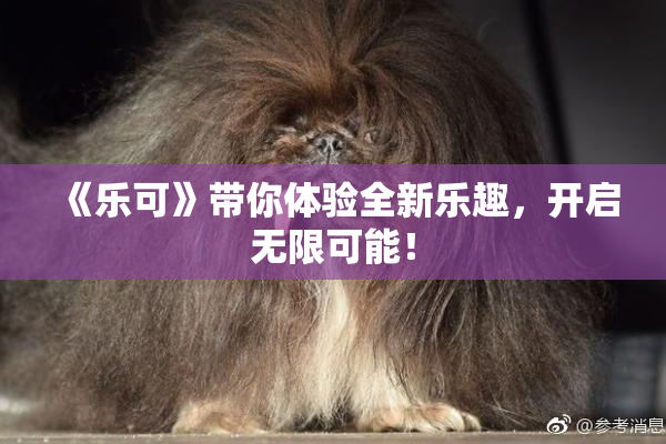 《乐可》带你体验全新乐趣，开启无限可能！