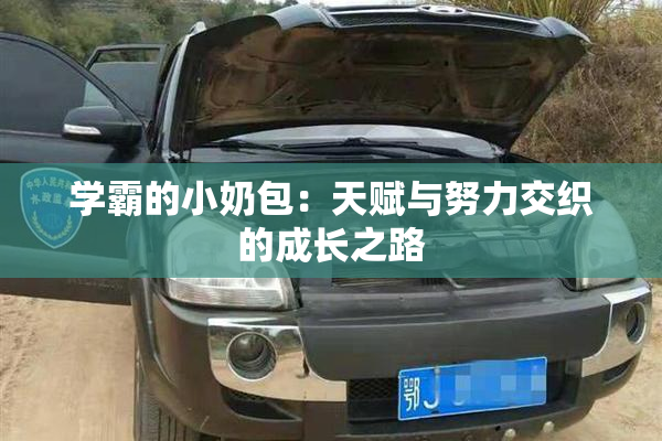 学霸的小奶包：天赋与努力交织的成长之路