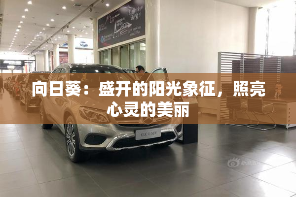 向日葵：盛开的阳光象征，照亮心灵的美丽