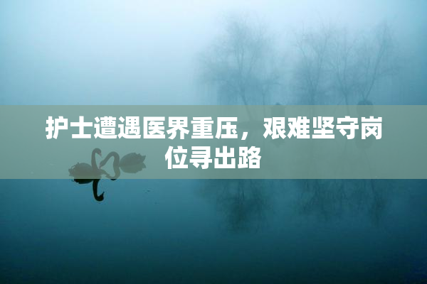 护士遭遇医界重压，艰难坚守岗位寻出路