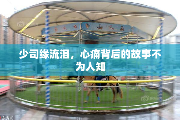 少司缘流泪，心痛背后的故事不为人知