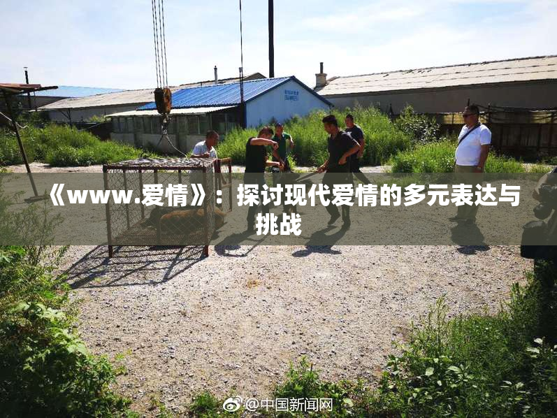 《www.爱情》：探讨现代爱情的多元表达与挑战