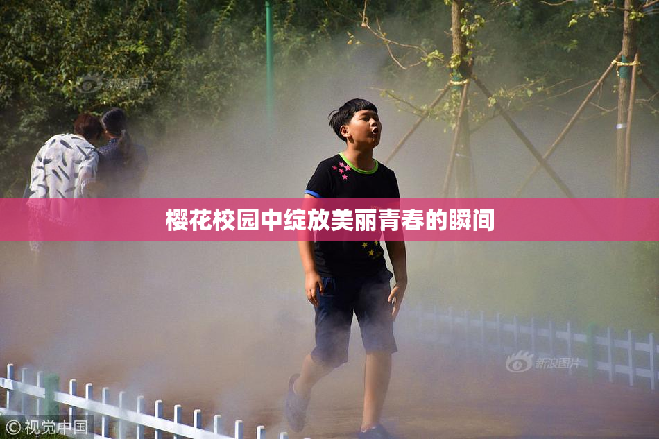 樱花校园中绽放美丽青春的瞬间