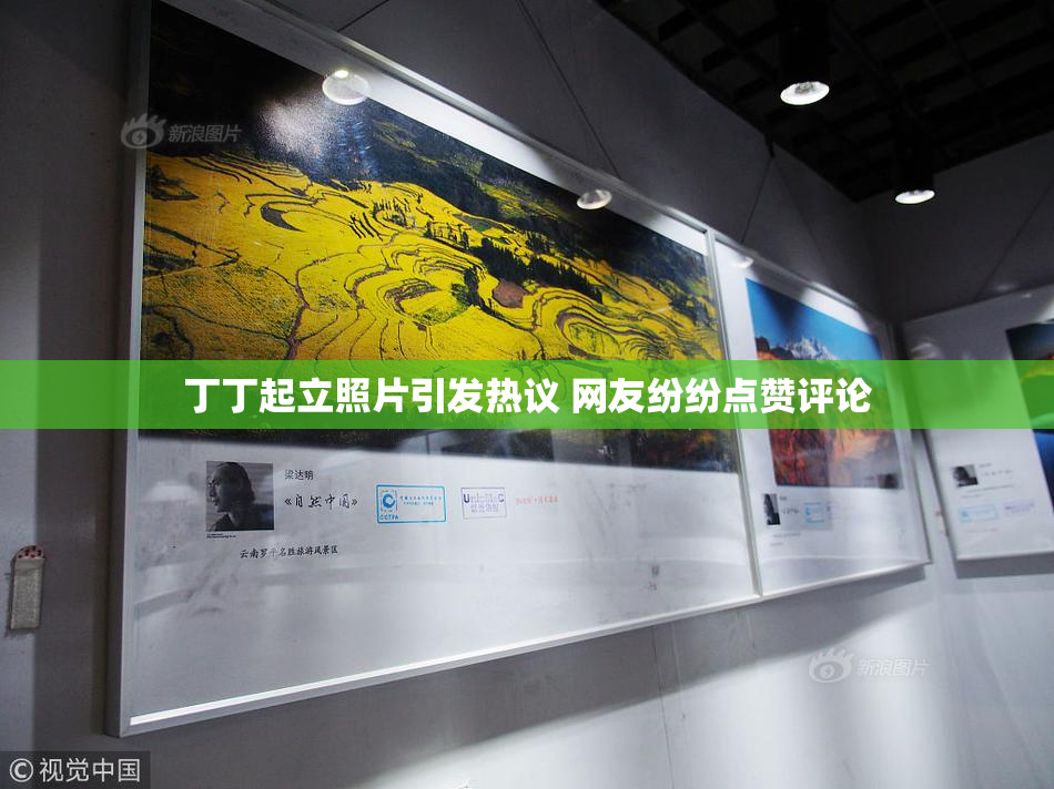 丁丁起立照片引发热议 网友纷纷点赞评论