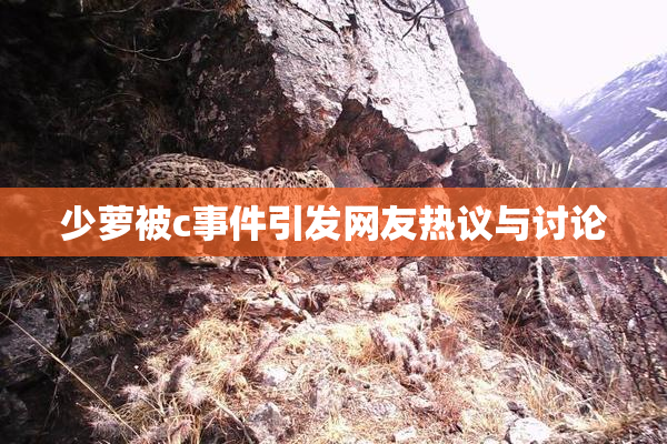 少萝被c事件引发网友热议与讨论