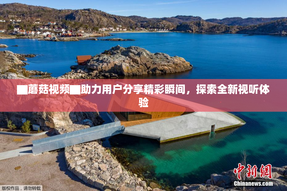 ▇蘑菇视频▇助力用户分享精彩瞬间，探索全新视听体验