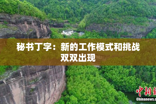 秘书丁字：新的工作模式和挑战双双出现