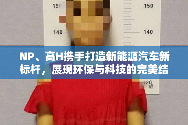 NP、高H携手打造新能源汽车新标杆，展现环保与科技的完美结合。