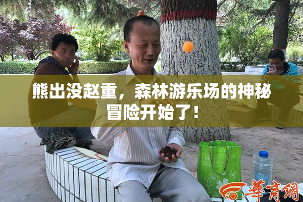 熊出没赵重，森林游乐场的神秘冒险开始了！