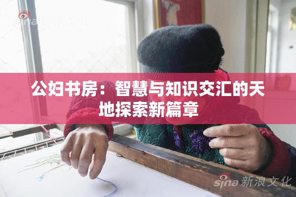 公妇书房：智慧与知识交汇的天地探索新篇章