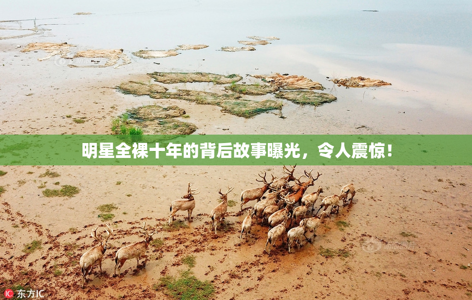 明星全裸十年的背后故事曝光，令人震惊！