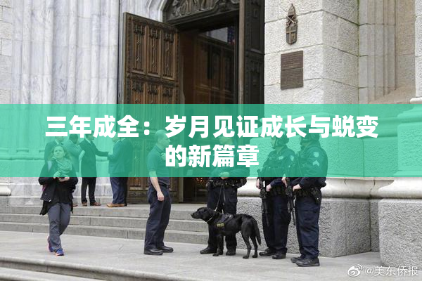 三年成全：岁月见证成长与蜕变的新篇章